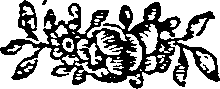 053/053690050000450_0.png