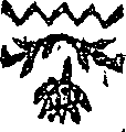 053/053700020000420_0.png
