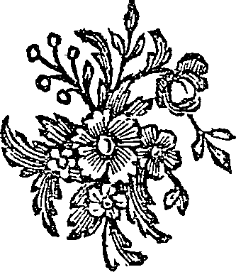 053/053700020000720_0.png
