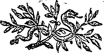 053/053700030002900_0.png