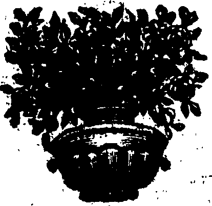 053/053720110000010_1.png