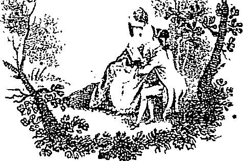053/053750010600010_0.png