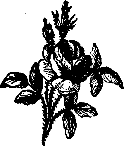 053/053770140101770_0.png