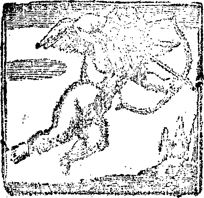 053/053780290000010_1.png