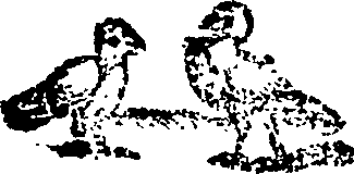 053/053780890000010_0.png