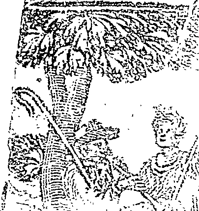 053/053790030000010_1.png