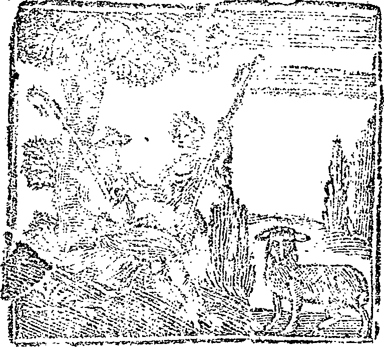 053/053790070000010_1.png
