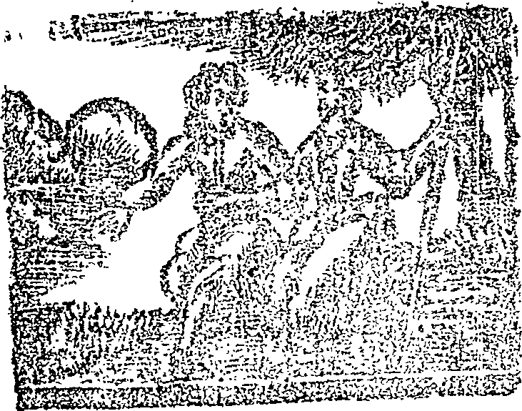 053/053790110000010_0.png