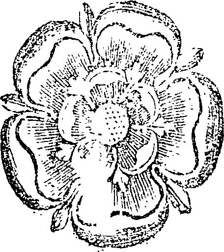 053/053790120000010_0.png