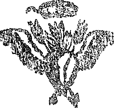 053/053790150000010_0.png