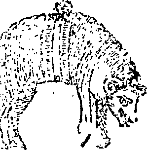 053/053790640000010_0.png
