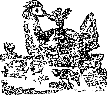 053/053790760000010_0.png