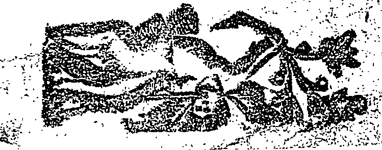 053/053790870000010_0.png