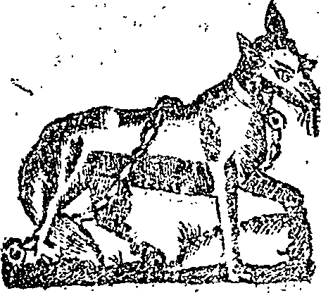 053/053790900000010_0.png
