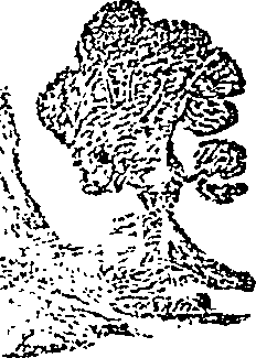 053/053790960000010_0.png
