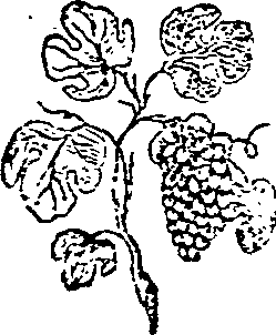 053/053800140000930_0.png