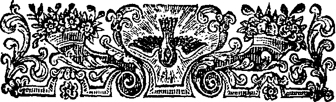 053/053830080000030_0.png