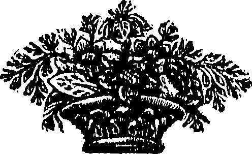 054/054110010203060_0.png