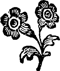 054/054160010100820_0.png