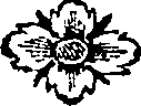 054/054160010101380_0.png