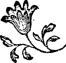 054/054160010101540_0.png