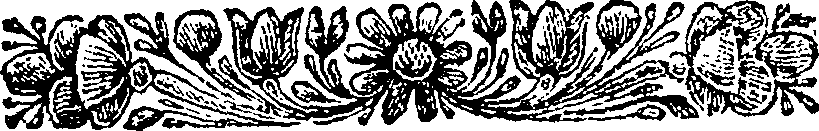 054/054300200000020_1.png