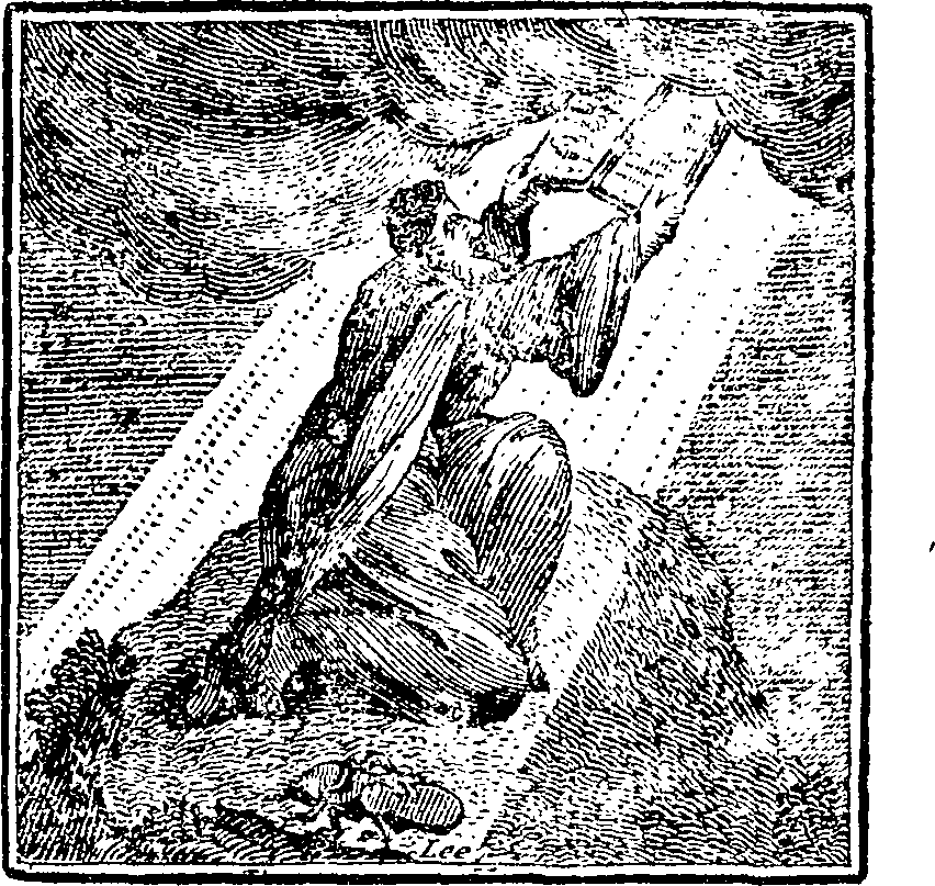 054/054330340000320_0.png