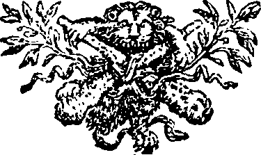054/054370010000300_0.png
