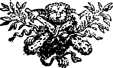 054/054370010000380_0.png