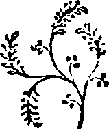 054/054390020000260_0.png