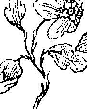 054/054390020001410_0.png