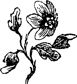 054/054390020001560_0.png