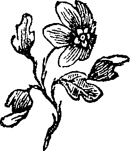 054/054390020002020_0.png
