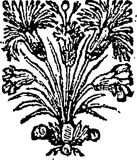 054/054610030000560_0.png