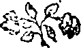 054/054610170000270_0.png