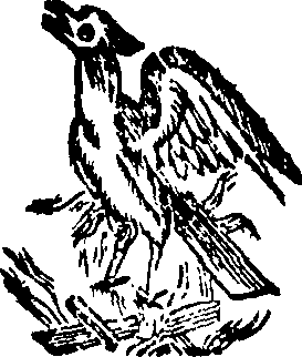 054/054690010301870_0.png