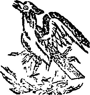 054/054790030002090_0.png