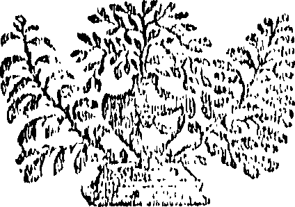 054/054880080000160_0.png