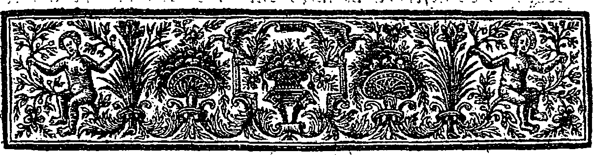 054/054900080000120_2.png