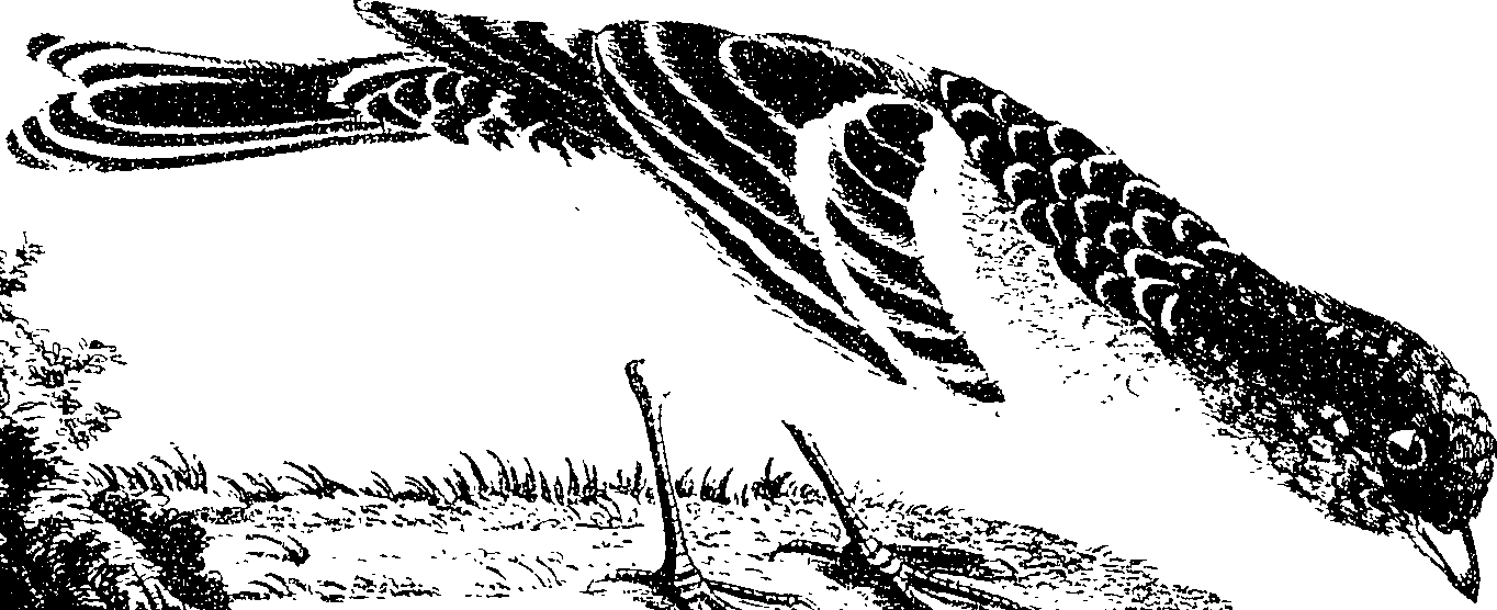 054/054910060000590_0.png