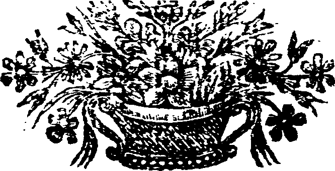 055/055030060002540_0.png