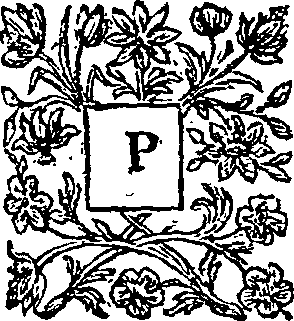 055/055070070202470_0.png