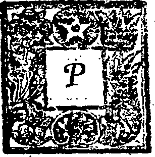055/055120080000030_0.png