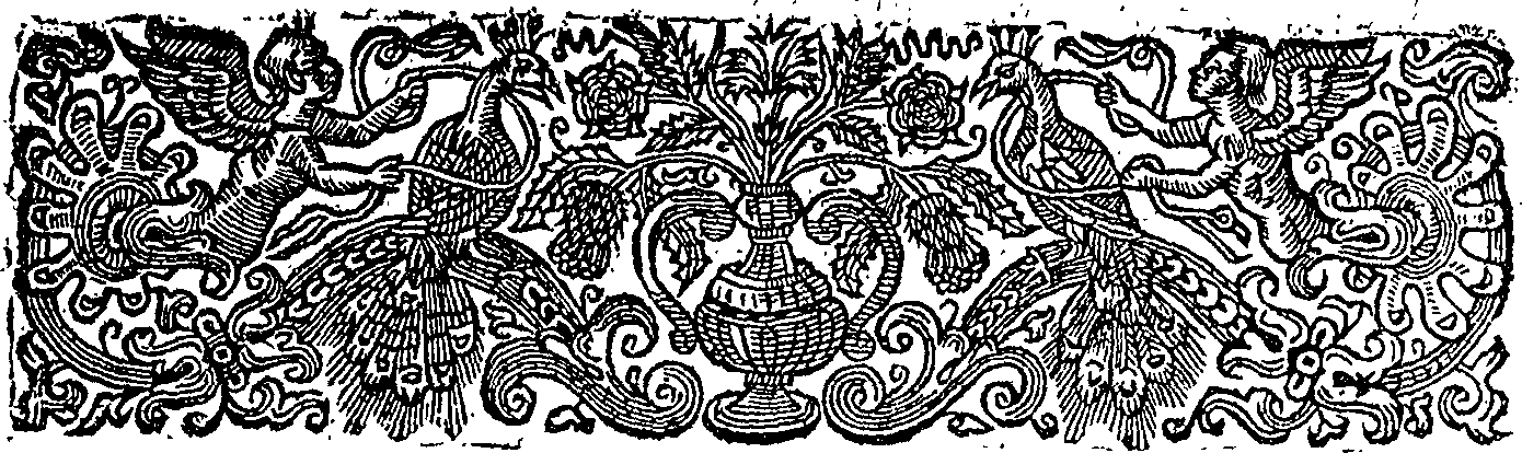 055/055180120000080_1.png