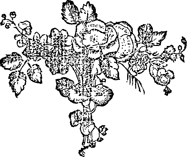 055/055180220000010_0.png