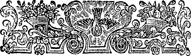 055/055220050000110_1.png