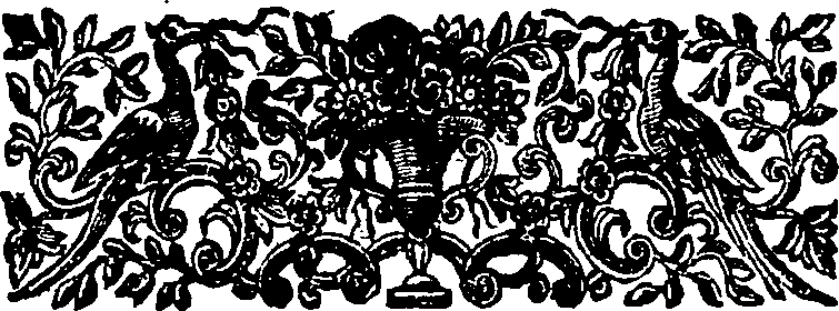 055/055220050002320_1.png