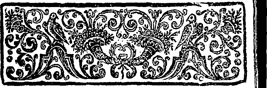 055/055220060000050_1.png