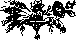 055/055240050000450_0.png