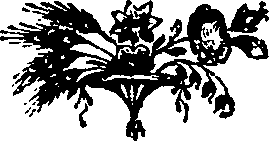 055/055240050000800_0.png